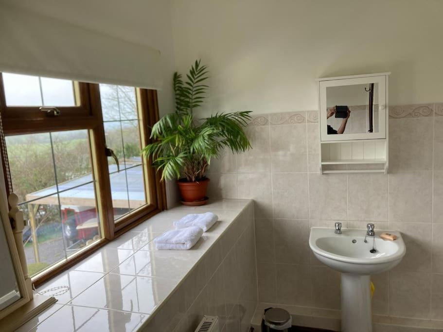 Bryntirion Farmhouse Rooms Llanfair Caereinion Ngoại thất bức ảnh